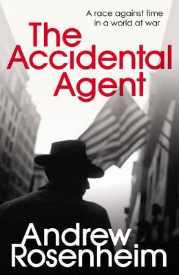 Accidental Agent book