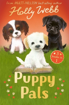 Puppy Pals: The Story Puppy, The Seaside Puppy, Monty the Sad Puppy by Holly Webb