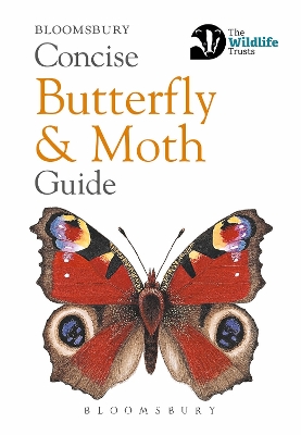 Concise Butterfly and Moth Guide by Bloomsbury