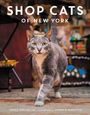 Shop Cats of New York book