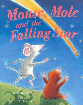 Mouse, Mole and the Falling Star by A. H. Benjamin