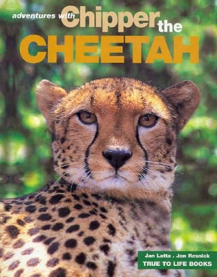 Adventures with Chipper the Cheetah by Jan Latta