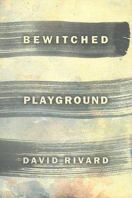 Bewitched Playground book