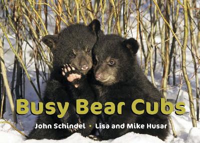 Busy Bear Cubs book