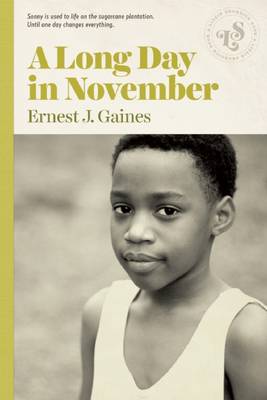 Long Day in November book
