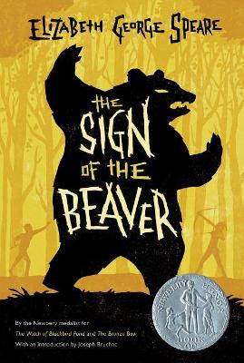 The Sign of the Beaver book