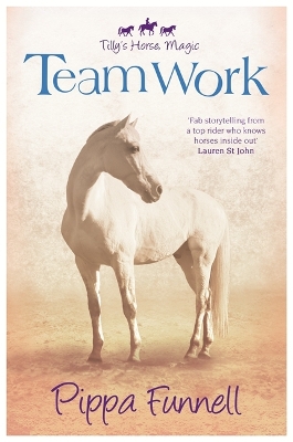 Tilly's Horse, Magic: Team Work book