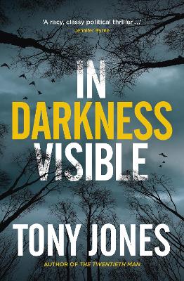 In Darkness Visible by Tony Jones