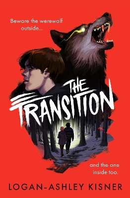The Transition book