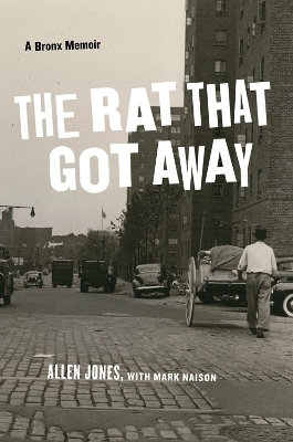 Rat That Got Away book