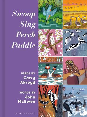 Swoop Sing Perch Paddle: Birds by Carry Akroyd book