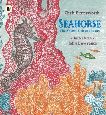 Seahorse: The Shyest Fish in the Sea book
