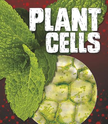 Plant Cells by Mason Anders