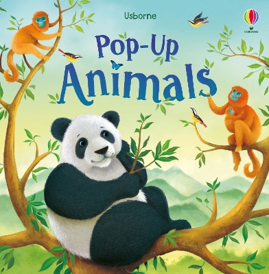 Pop-up Animals book