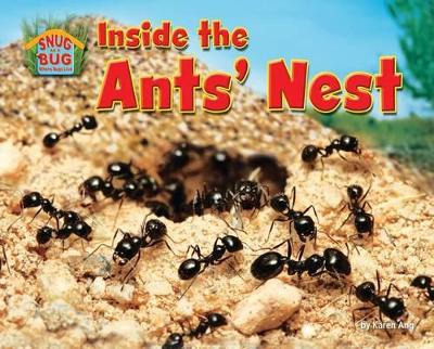 Inside the Ants' Nest book