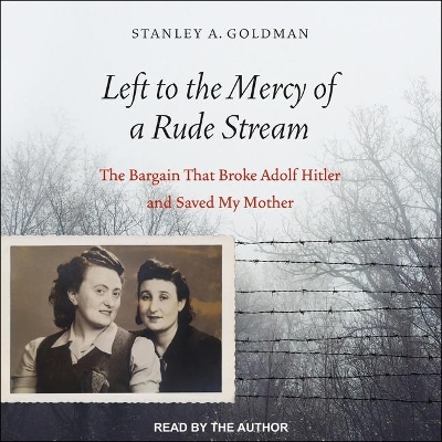 Left to the Mercy of a Rude Stream: The Bargain That Broke Adolf Hitler and Saved My Mother by Stanley A. Goldman
