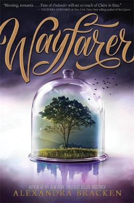 Passenger: Wayfarer book