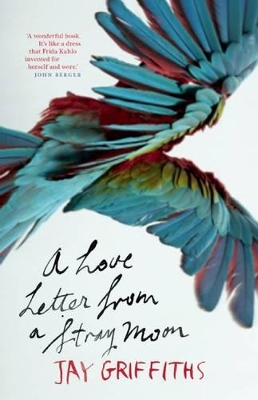 Love Letter From A Stray Moon book