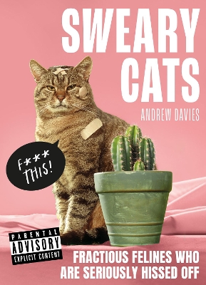 Sweary Cats book