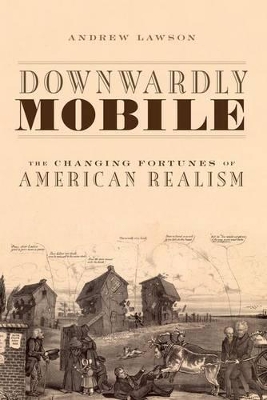 Downwardly Mobile book
