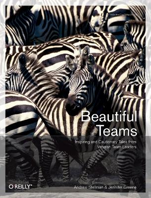 Beautiful Teams book