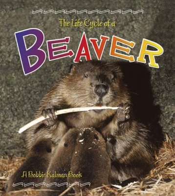 Life Cycle of a Beaver book