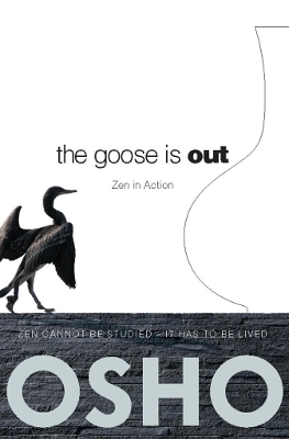 Goose Is Out book