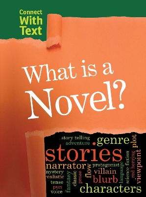 What is a Novel? book