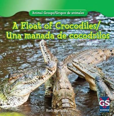 Float of Crocodiles/Una Manada de Cocodrilos by Karlie Gambino