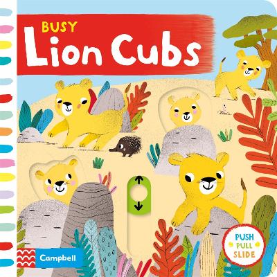Busy Lion Cubs book