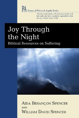 Joy Through the Night book