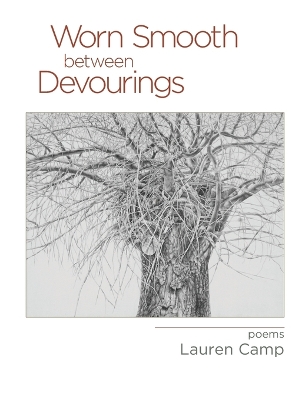 Worn Smooth between Devourings book