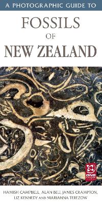 A Photographic Guide to Fossils of New Zealand book