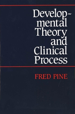 Developmental Theory and Clinical Process book