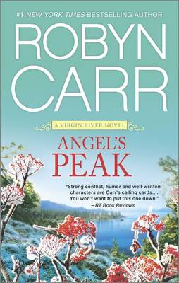Angel's Peak book