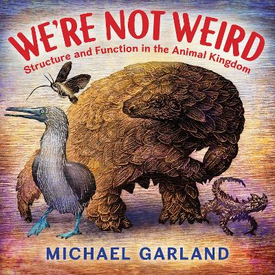 We're Not Weird: Structure and Function in the Animal Kingdom book