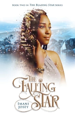 The Falling Star book