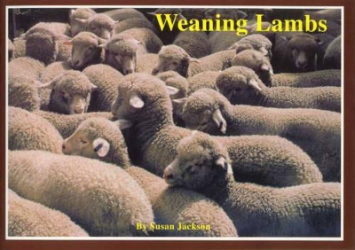 Weaning Lambs book
