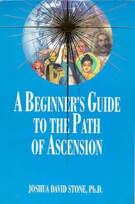 Beginner's Guide to the Path of Ascension book