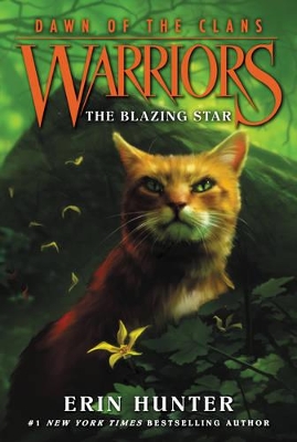 Warriors: Dawn of the Clans #4: The Blazing Star book