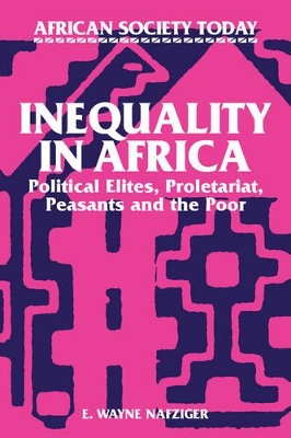 Inequality in Africa book