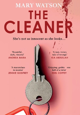 The Cleaner book