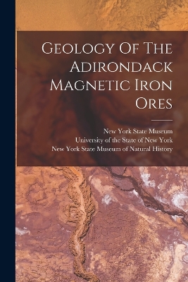 Geology Of The Adirondack Magnetic Iron Ores book