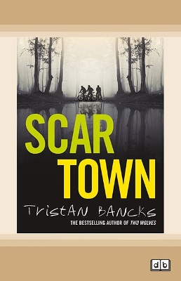 Scar Town book