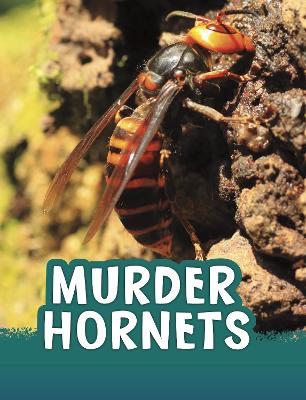 Murder Hornets by Jaclyn Jaycox