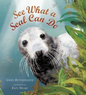 See What a Seal Can Do by Chris Butterworth