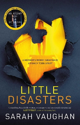 Little Disasters: the compelling and thought-provoking new novel from the author of the Sunday Times bestseller Anatomy of a Scandal by Sarah Vaughan