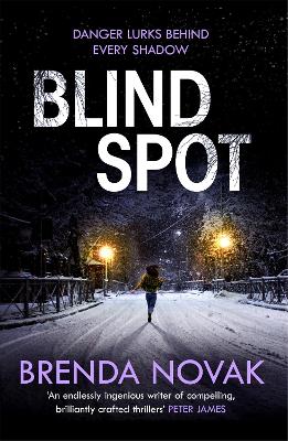 Blind Spot: A unputdownable new thriller to keep you reading all night! book