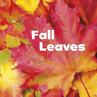 Fall Leaves by Erika L Shores