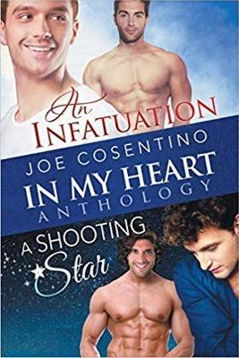 In My Heart - An Infatuation & A Shooting Star Volume 3 book